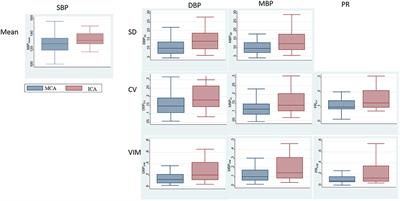 Postreperfusion Blood Pressure Variability After Endovascular Thrombectomy Affects Outcomes in Acute Ischemic Stroke Patients With Poor Collateral Circulation